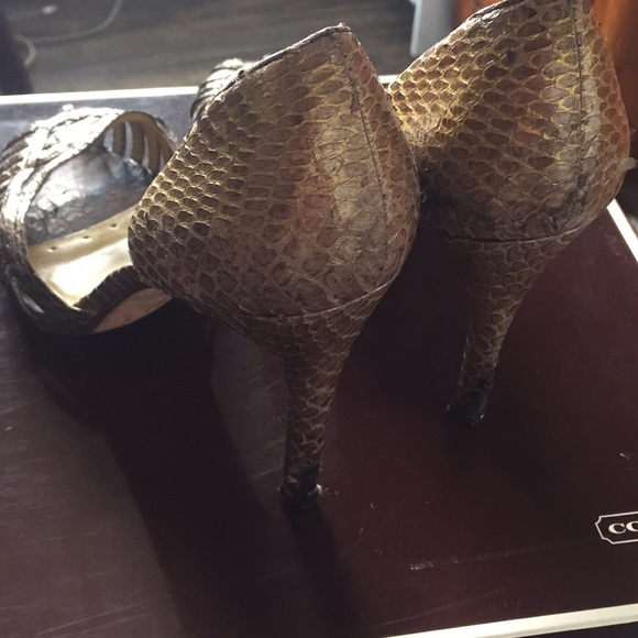 COPY - 🤎BeBe ✨ 🤎Brown leather heels!! - Picture 5 of 5